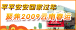2009年云南春运专题