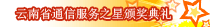 2009云南通信之星