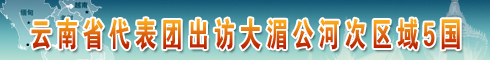 云南省代表团出访大湄公河次区域5国